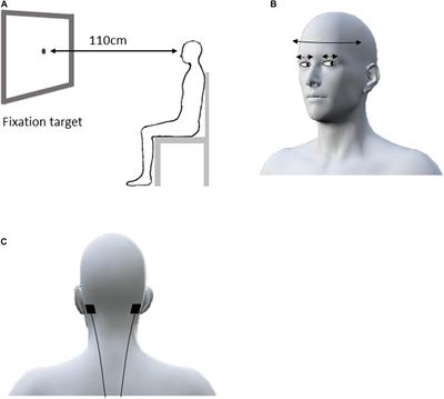 Modification of Eye–Head Coordination With High Frequency Random Noise Stimulation